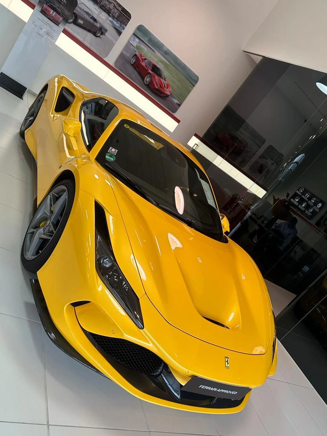 MMM Verwaltung Pisone – Immobilien – Auto 