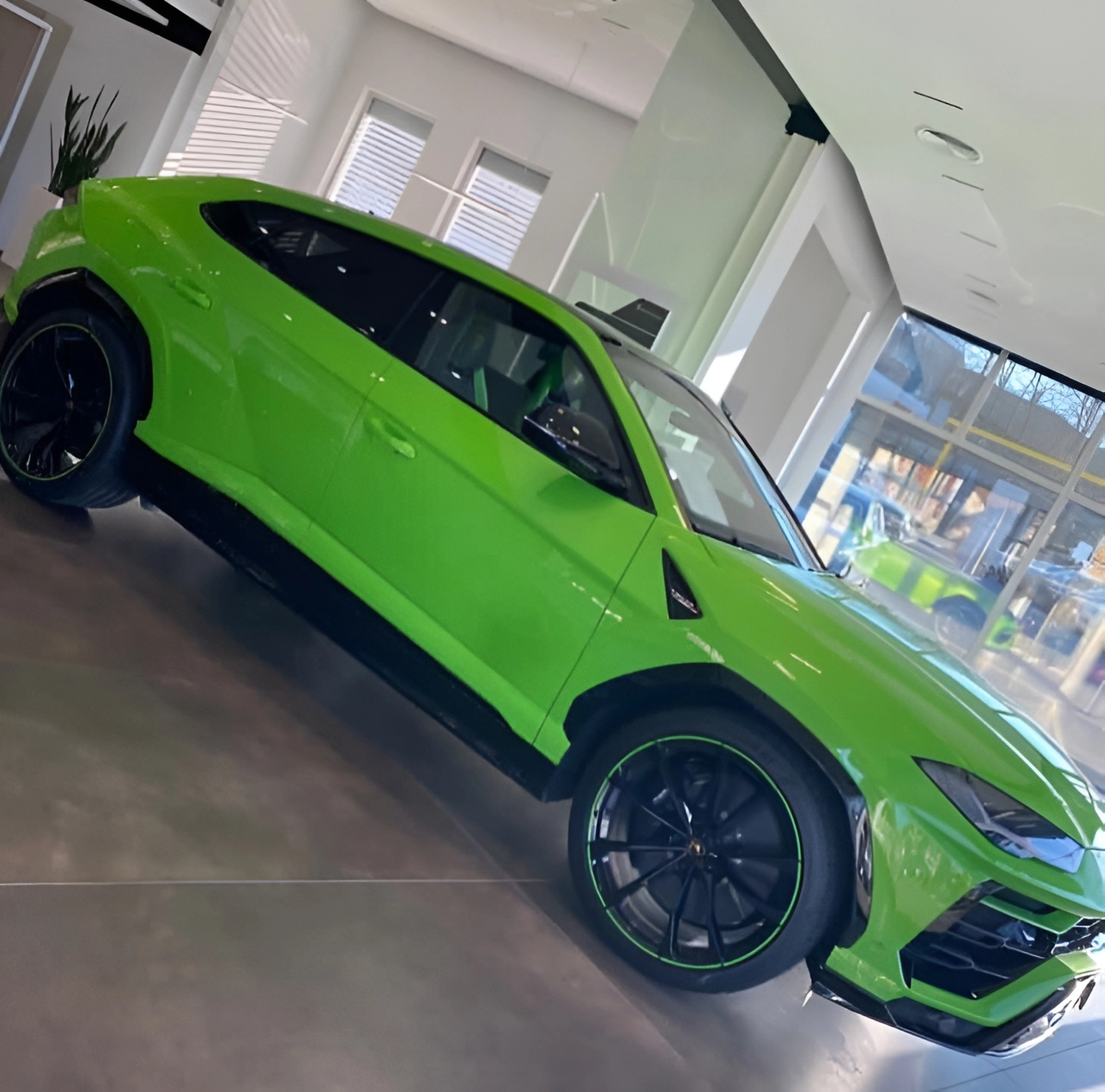 MMM Verwaltung Pisone – Immobilien – Auto 