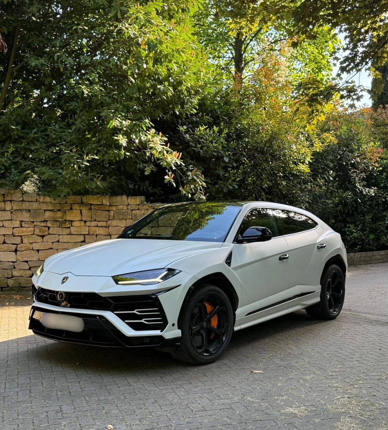 MMM Verwaltung Pisone – Immobilien – Auto 